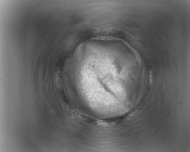 X0000063531059200602032130