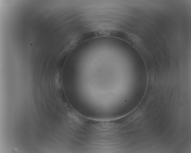 X0000063531060200602032130