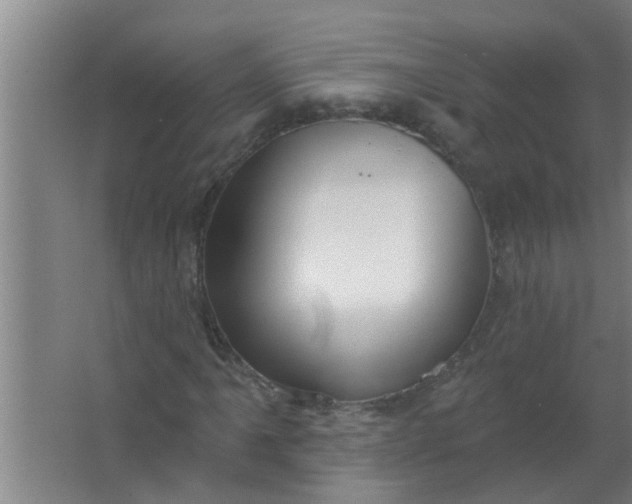 X0000063531061200602032130