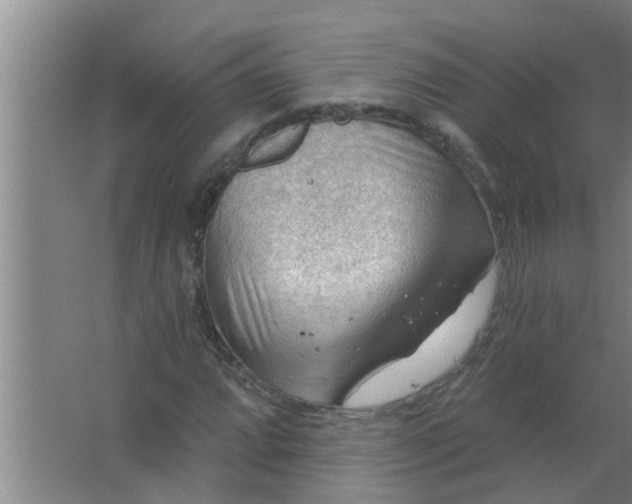 X0000063531064200602032130