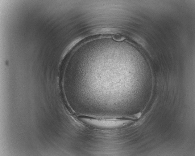 X0000063531066200602032130