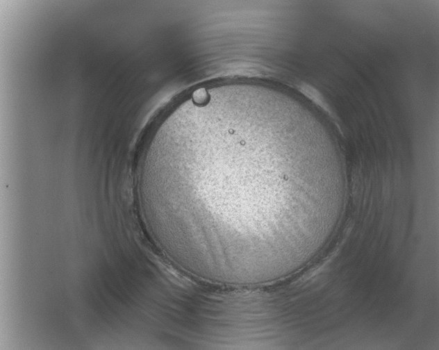 X0000063531067200602032130