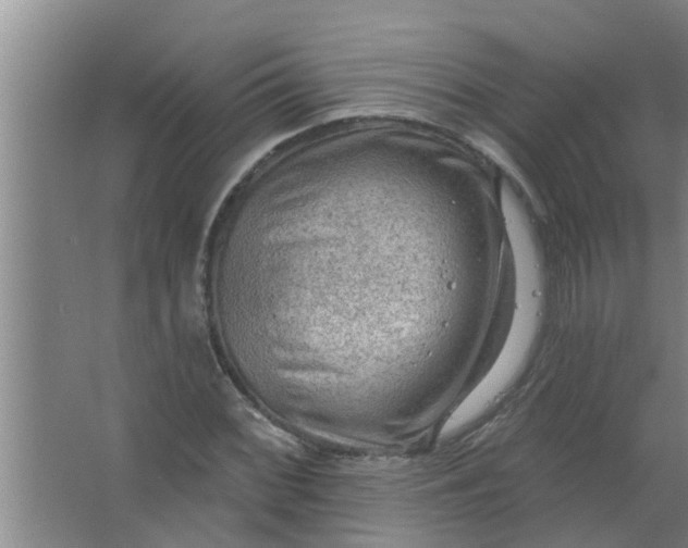 X0000063531068200602032130