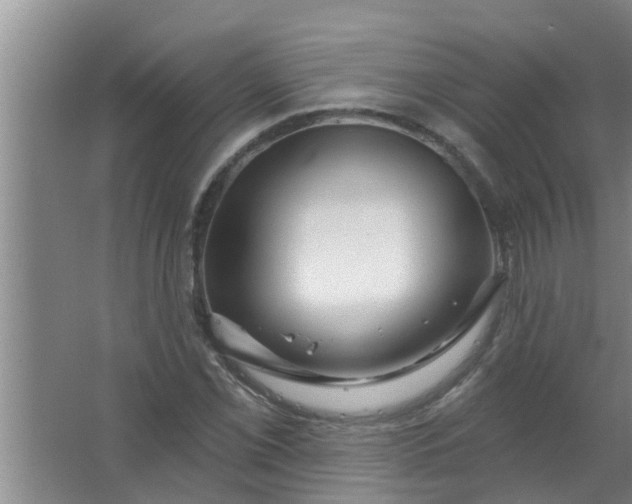 X0000063531069200602032130