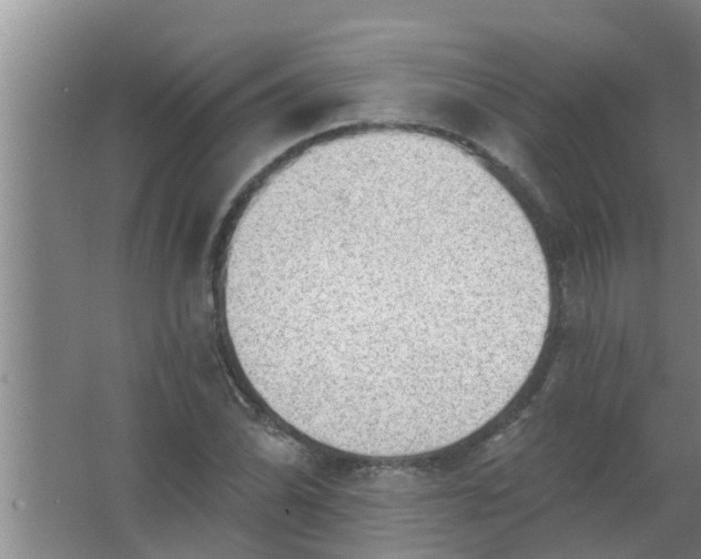 X0000063531070200602032130