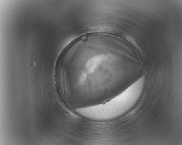 X0000063531071200602032130