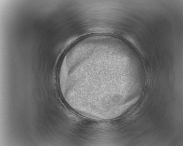 X0000063531074200602032130