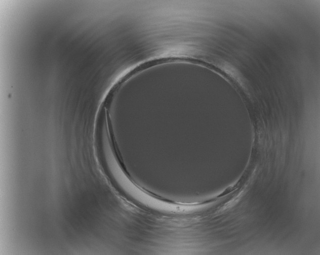 X0000063531077200602032130