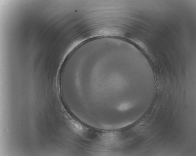 X0000063531078200602032130