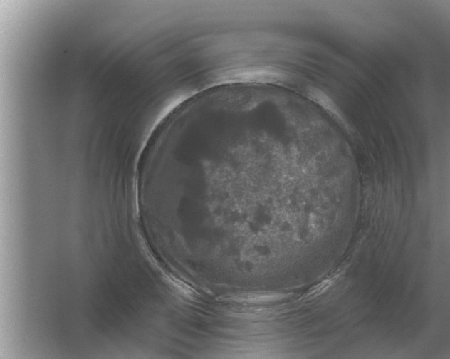 X0000063531079200602032130