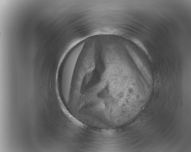 X0000063531080200602032130