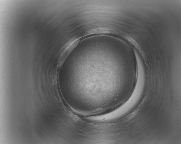 X0000063531081200602032130