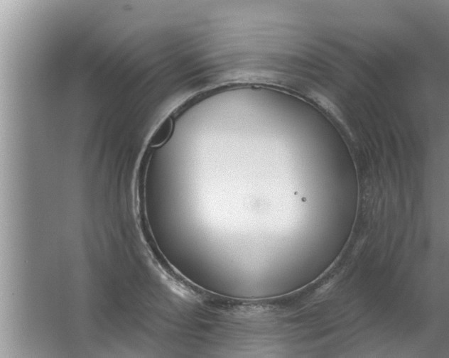 X0000063531082200602032130