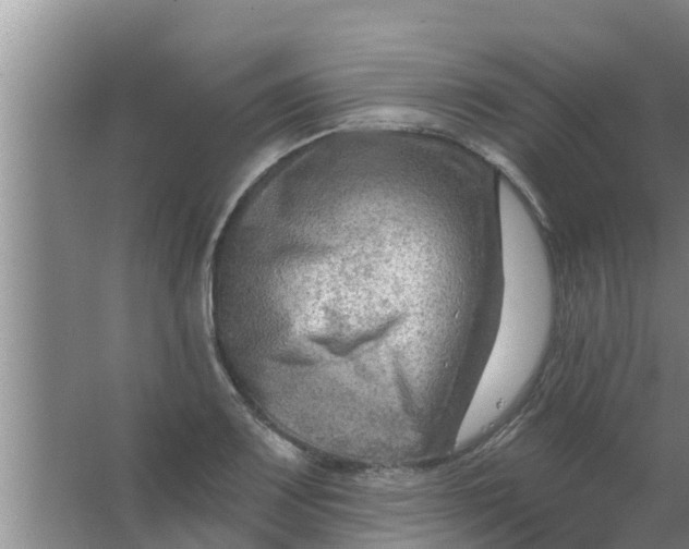 X0000063531083200602032130