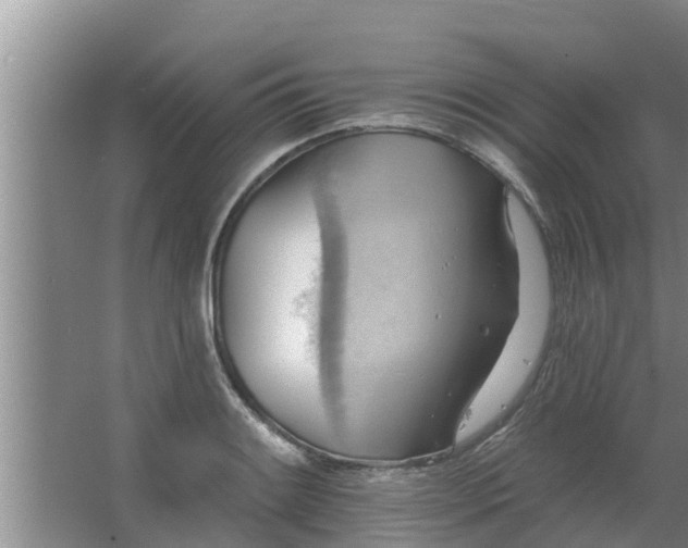 X0000063531084200602032130