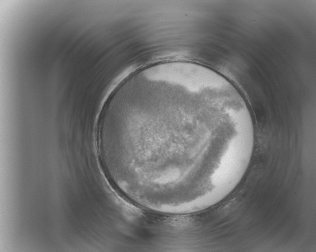 X0000063531090200602032130