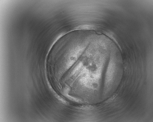 X0000063531091200602032130