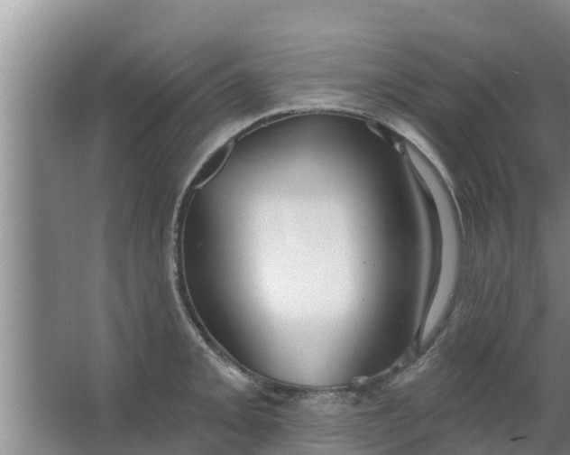 X0000063531093200602032130