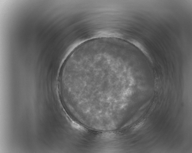 X0000063531094200602032130