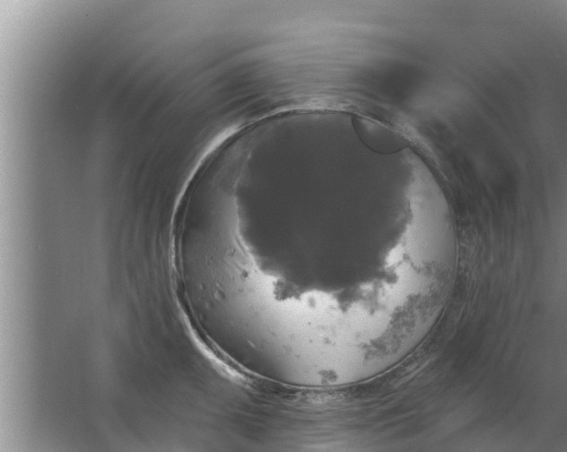 X0000063531095200602032130