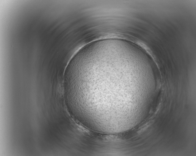 X0000063531097200602032130