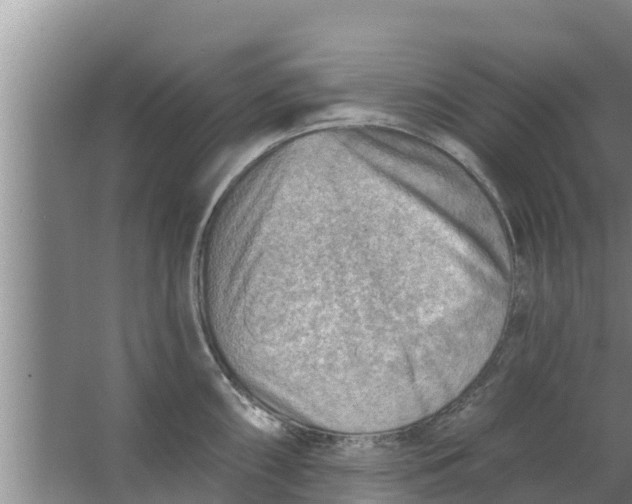 X0000063531098200602032130