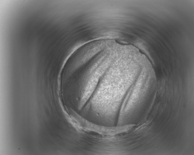 X0000063531099200602032130