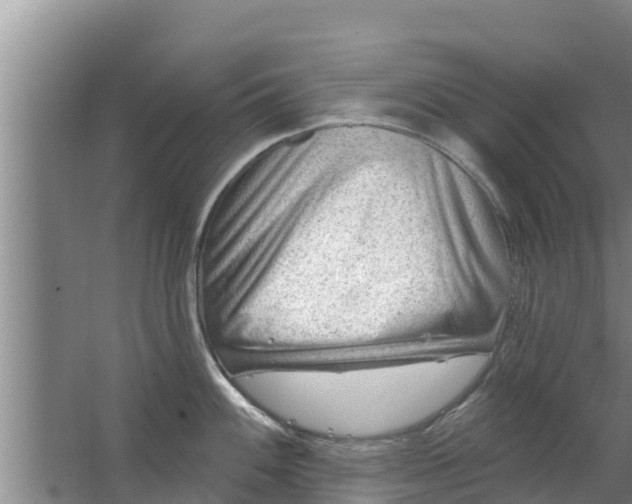 X0000063531100200602032130