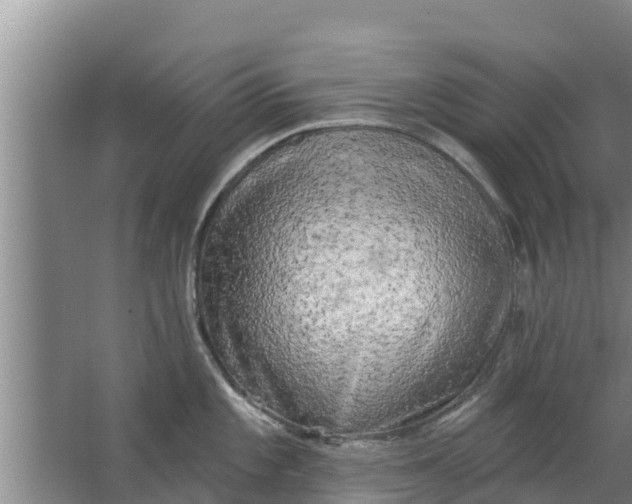 X0000063531101200602032129