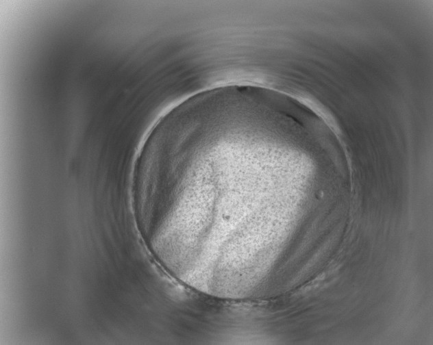 X0000063531104200602032129