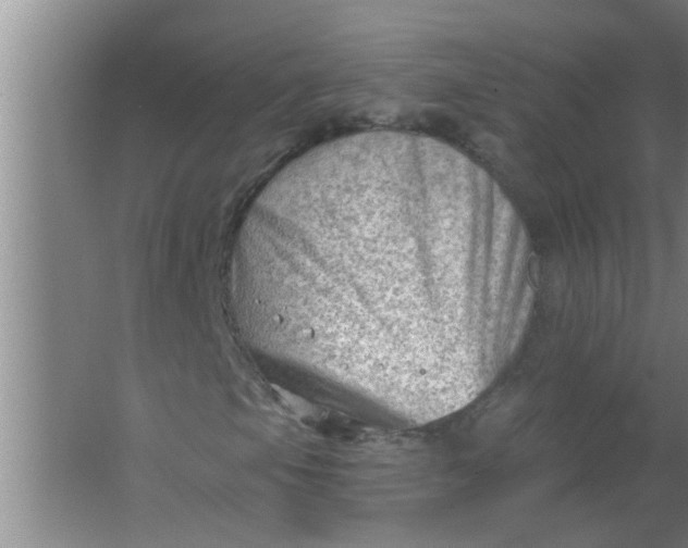 X0000063531105200602032129