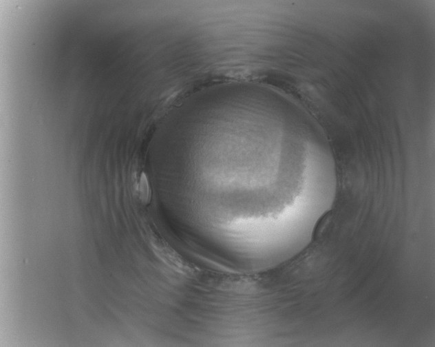 X0000063531106200602032129