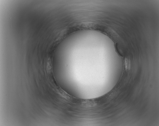 X0000063531107200602032129