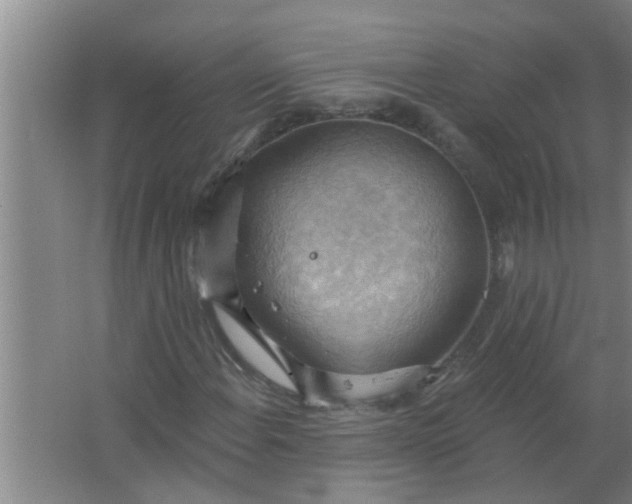 X0000063531108200602032129