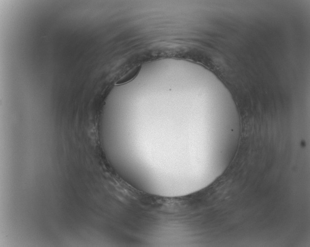 X0000063531109200602032129