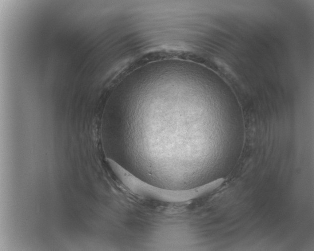 X0000063531110200602032129