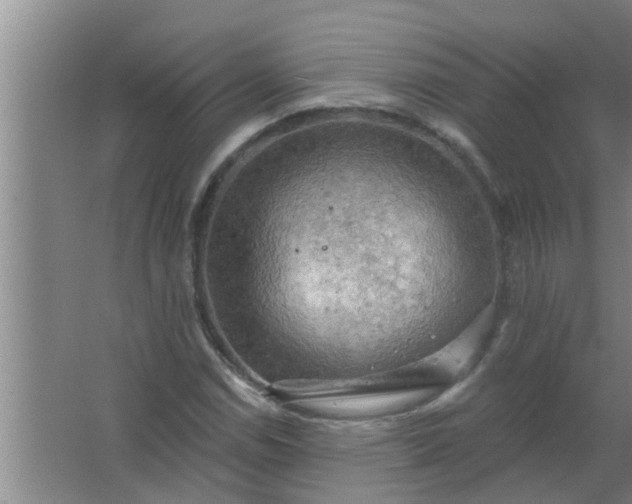 X0000063531114200602032129