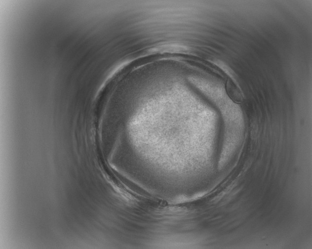 X0000063531115200602032129