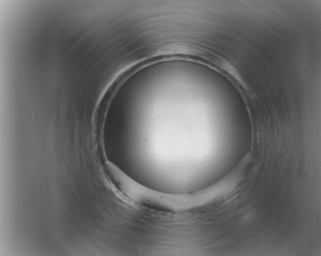 X0000063531116200602032129