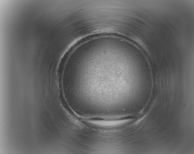 X0000063531118200602032129