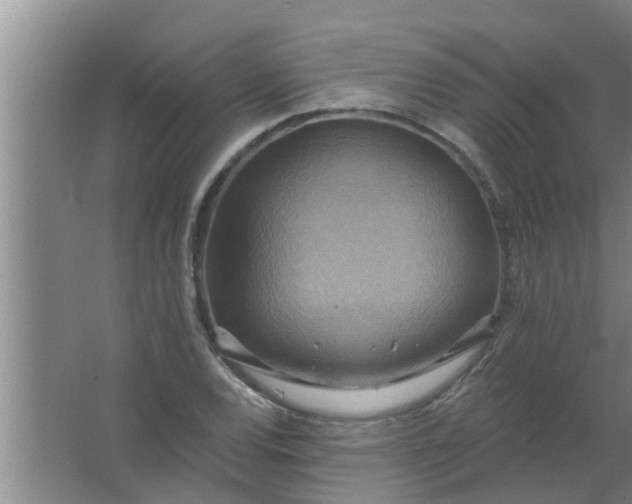 X0000063531120200602032129