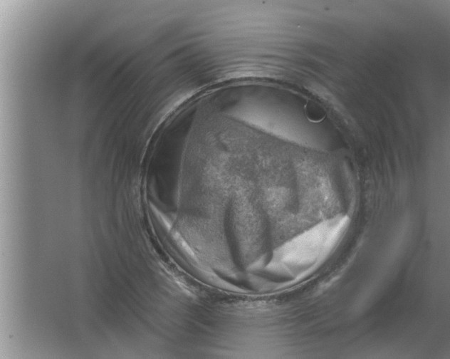 X0000063531121200602032129