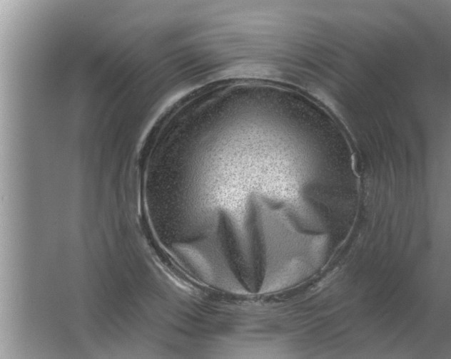 X0000063531123200602032129