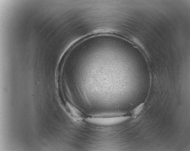 X0000063531124200602032129