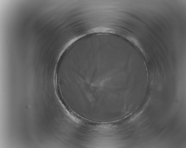 X0000063531125200602032129