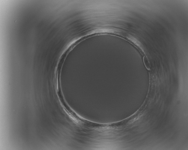 X0000063531127200602032129