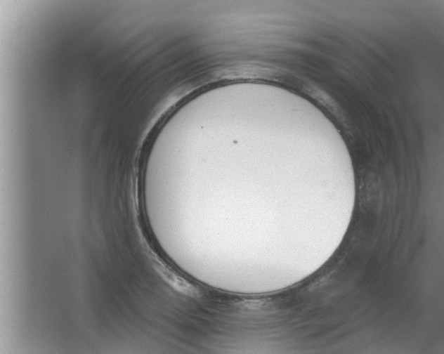 X0000063531130200602032129