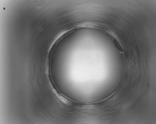 X0000063531131200602032129