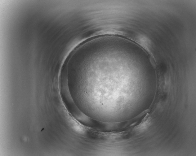 X0000063531132200602032129