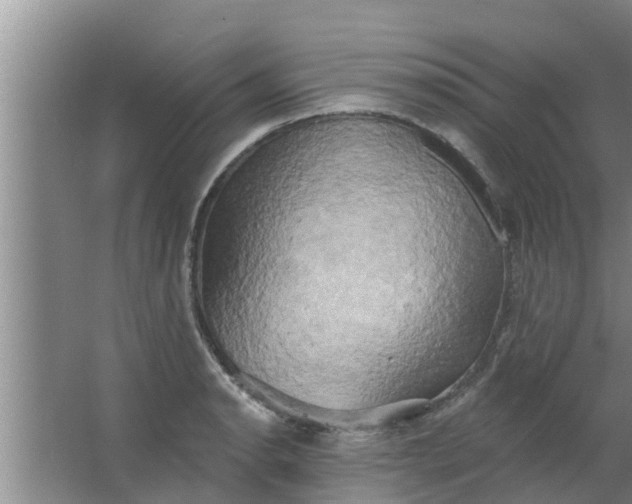 X0000063531134200602032129